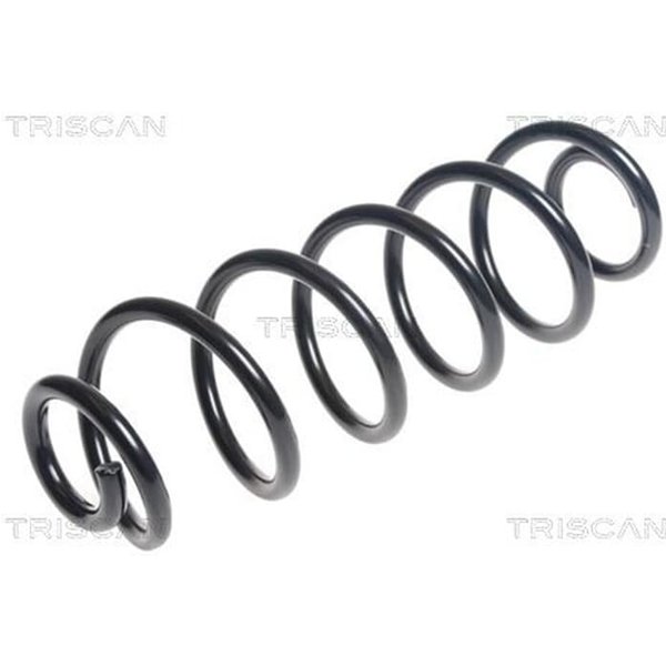 Triscan Feder Hinten Audi A6 A7-image