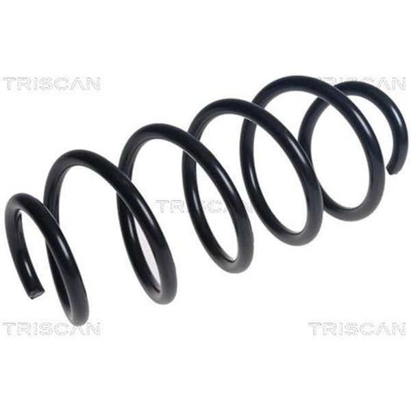 Triscan Feder Vorne Vw Passat B6 B7 875029488-image