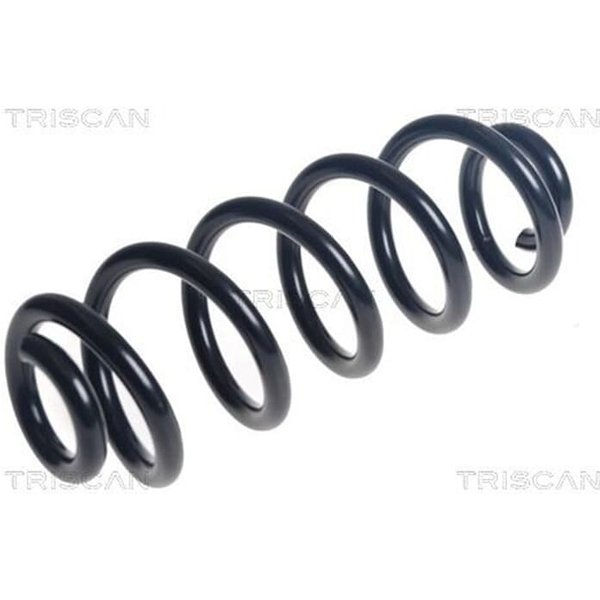 Triscan Feder Hinten Audi Q5 2,0 875029506-image