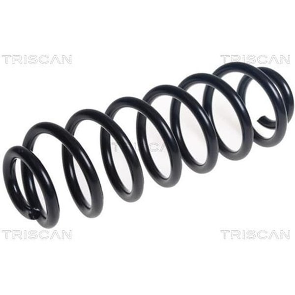 Triscan Feder Hinten VW Passat B6 B7 875029511-image