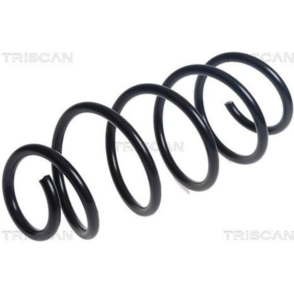 Triscan Feder Vorne Skoda Rapid 1,4-image
