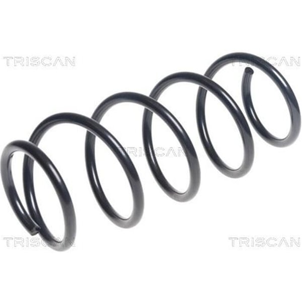 Triscan Feder Vorne Hyundai I20 1,4-image