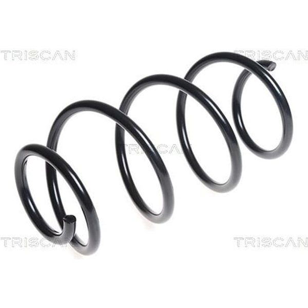 Triscan Feder Vorne Hyundai I30 1,6 87504387-image
