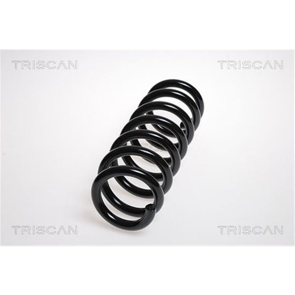 Triscan Feder Vorne Suzuki Grand Vitara 2,0-image