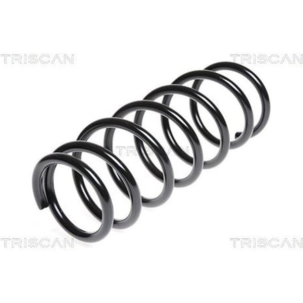 Triscan Feder Hinten Opel Agila Suzuki Wagon-image