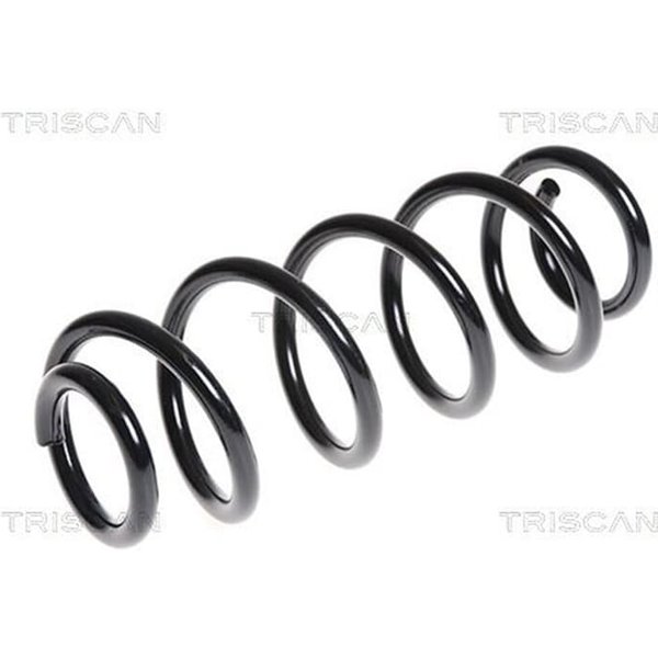 Triscan Feder Hinten Fiat Sedici Suzuki Sx4 87506947-image