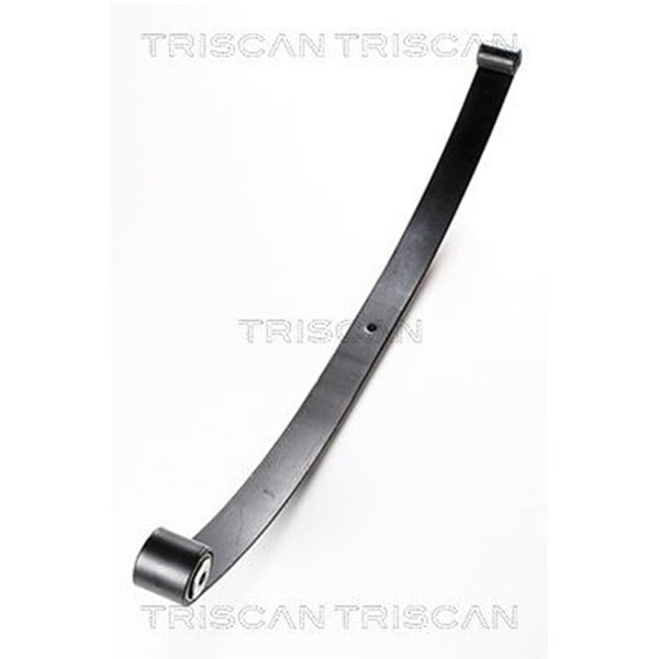 Triscan Blattfeder Hinten Fiat Doblo 119 223-image