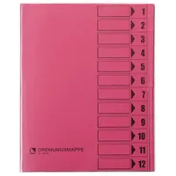 Bene Ordnungsmappe 250 g/m² 12 Fächer