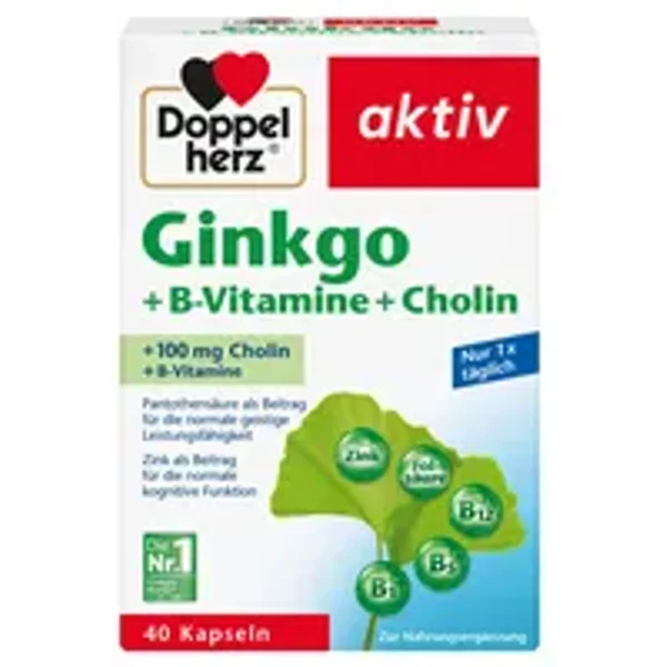 Doppelherz Nahrungsergänzungsmittel aktiv Ginkgo + B-Vitamine + Cholin