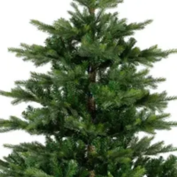 EVERLANDS Weihnachtsbaum Grandis Fir 182 x 300 cm (Ø x H)