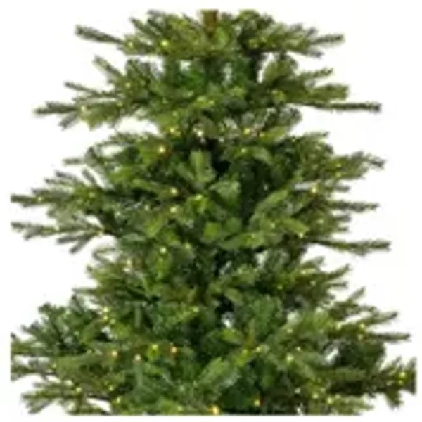 EVERLANDS Weihnachtsbaum Grandis Fir mit Beleuchtung 132 x 180 cm (Ø x H)