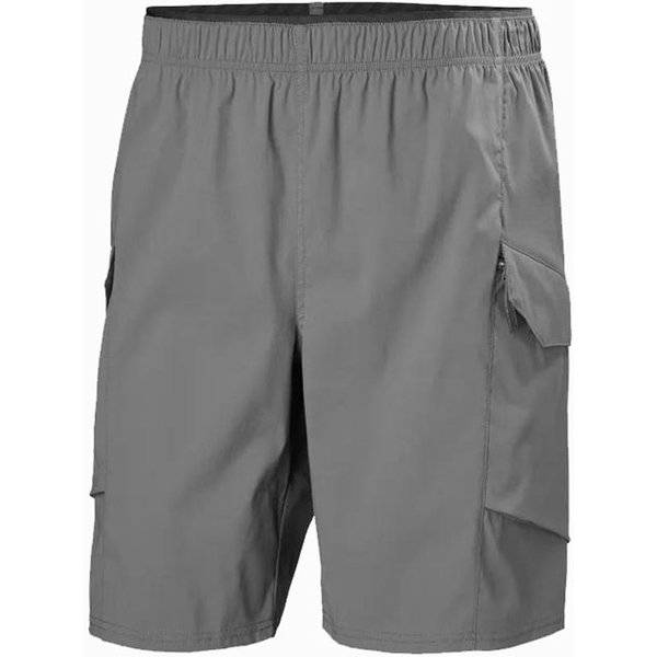 Pantalons Par Montagne Helly Hansen Vista Hike Cargo Homme Gris-image