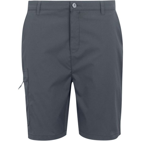 Pantalon de Montagne Regatta Dalry Homme Seal Grey