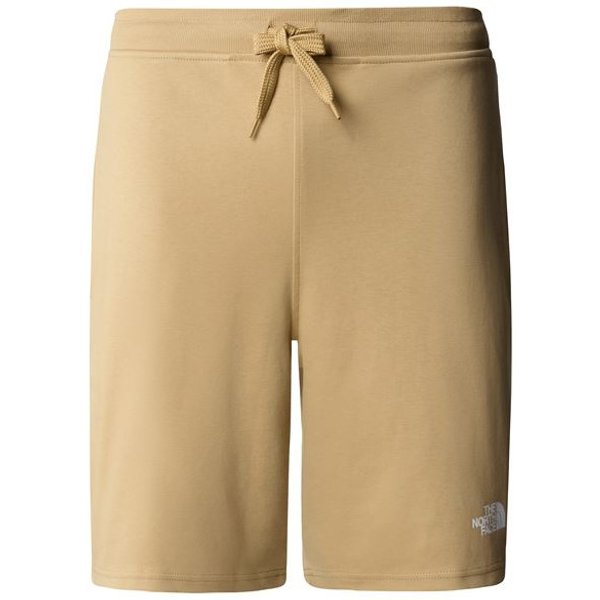 Pantalon Short The North Face Graphic Short Light- Homme Beige-image