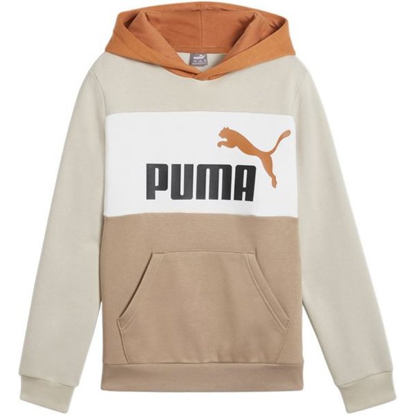 Sweat Décontracté Enfant Puma Essentials Block Beige