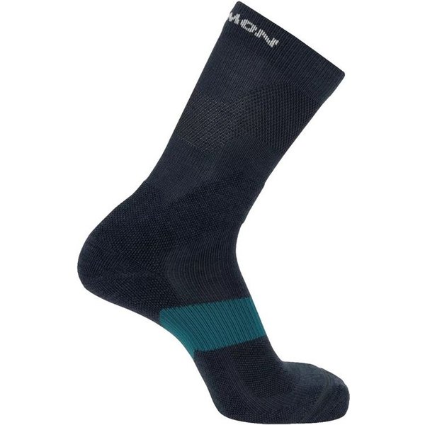 Chaussettes de Montagne Salomon X Ultra Crew Gris