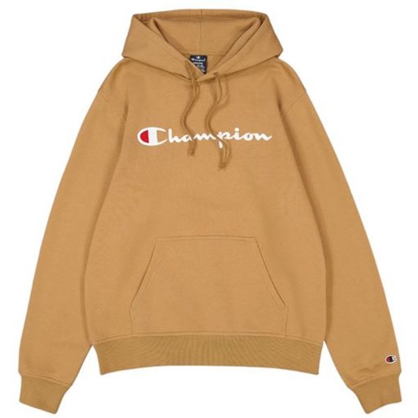 Sweat Champion Homme Sweat à Capuche Marron-image