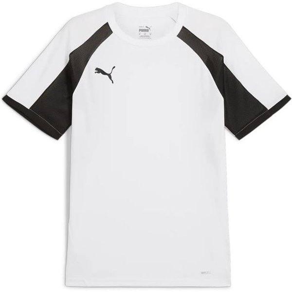 T-Shirt Football Maillot Puma Individualliga Homme-image