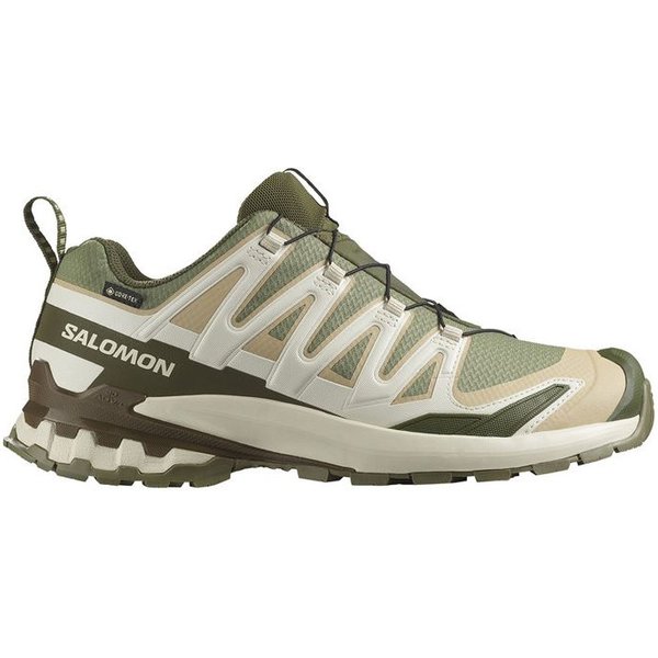 Chaussures de Trail Salomon Xa Pro 3D V9 Gtx Deep Lichen Green/Safari Homme