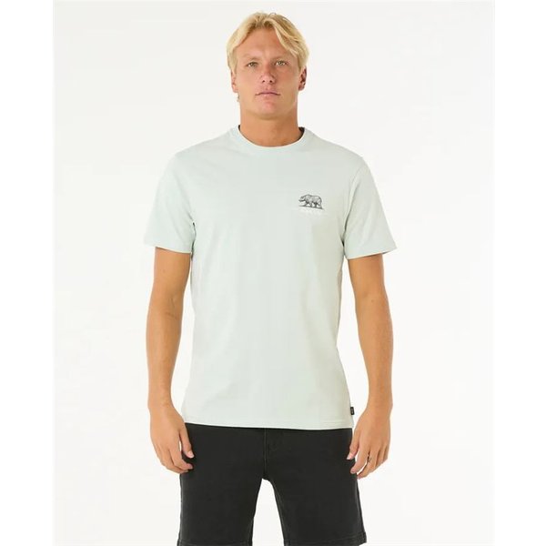 T-shirt Rip Curl Desti Animals Tee Homme Menthe
