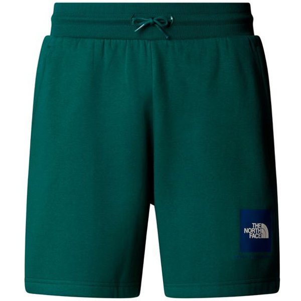 Pantalons De Montagne The North Face Box Nse Regular Green Homme-image