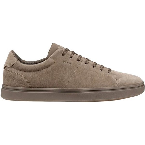 Chaussures Geox U Baltmoore A - Scam. Homme Taupe