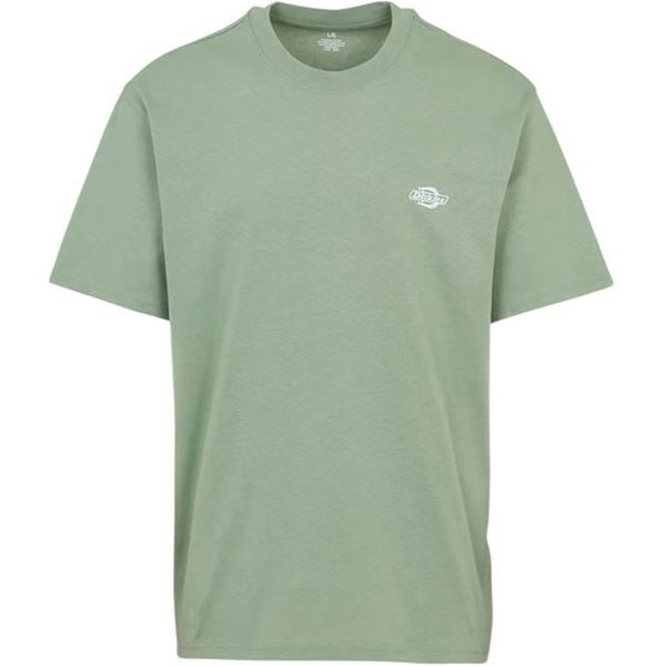 T-Shirt Dickies Summerdale Ss Mer Spray Homme-image