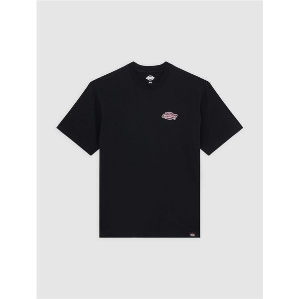 T-shirt Dickies Graysville Ss Homme Noir