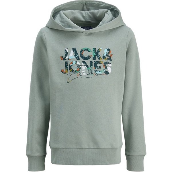 Sweat Jack and Jones Jjgeplas Enfant Iceberg Vert
