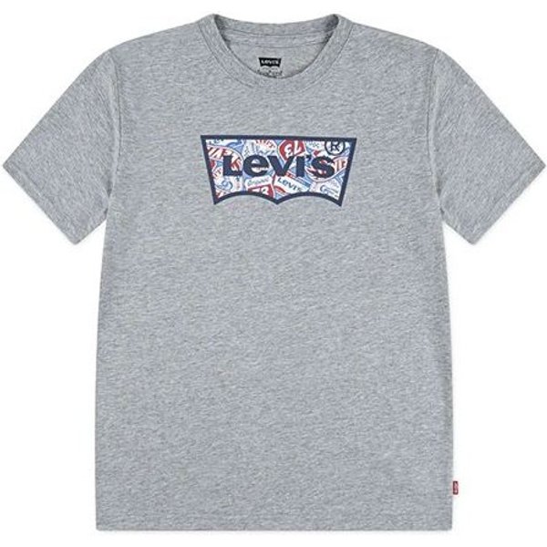 T-shirt Levis Lvb On The Road Batwing Tee Enfant Gris