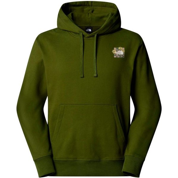 Sweat The North Face Connect Relaxed Grap Woodland Vert Homme-image
