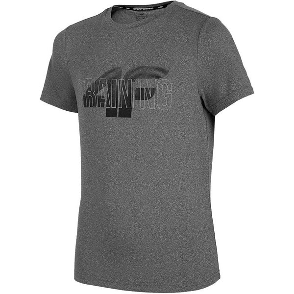 T-shirt 4F JTSMF001 Enfants Gris