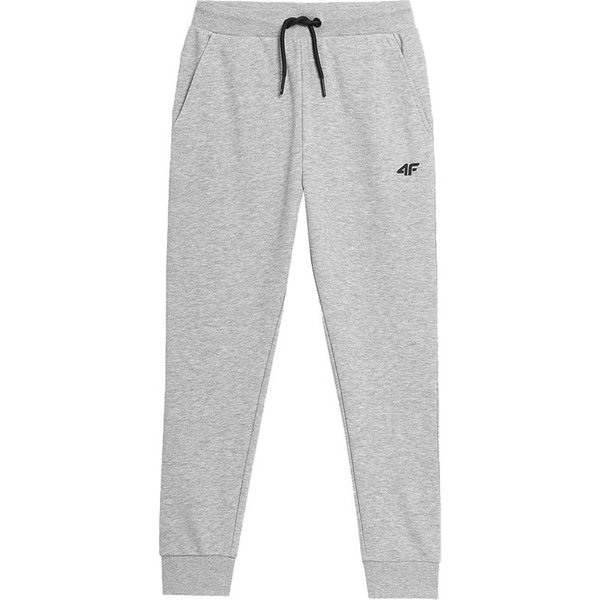 Pantalons de Fitness 4F Gris Enfant