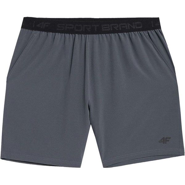 Pantalons de fitness 4F gris Homme