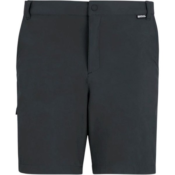Pantalon Montagne Regatta A-Insttvlltshts Ash Homme