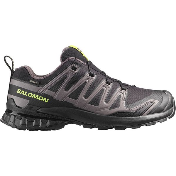 Chaussures Trail Salomon Xa Pro 3D V9 Gtx Noir/ Homme-image