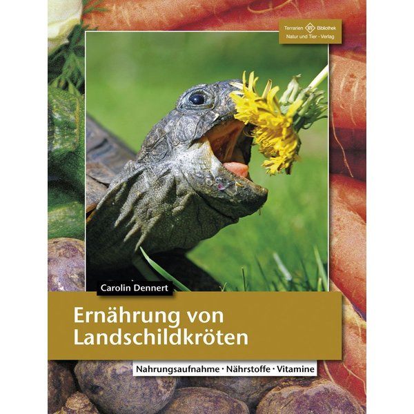 ErnäHrung Von LandschildkröTen-image