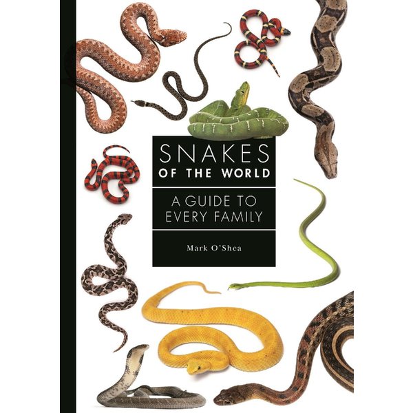 Snakes Of The World-image