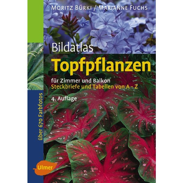 Bildatlas Topfpflanzen FüR Zimmer Und Balkon-image