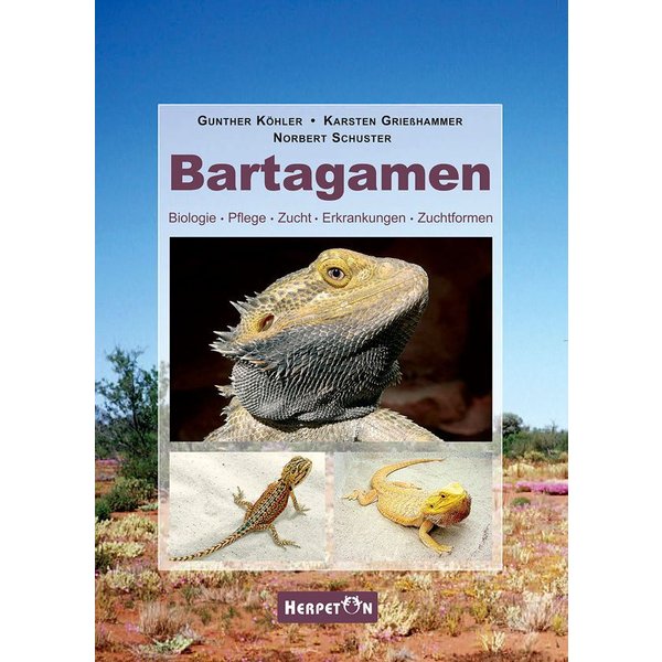 Bartagamen-image