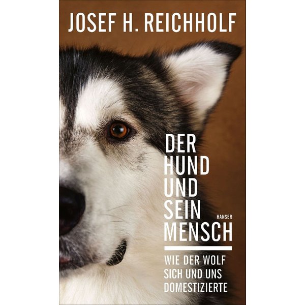Der Hund Und Sein Mensch-image