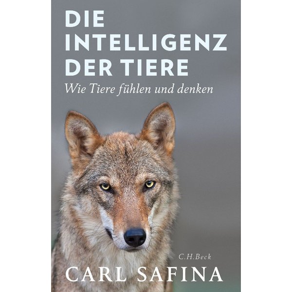 Die Intelligenz Der Tiere-image