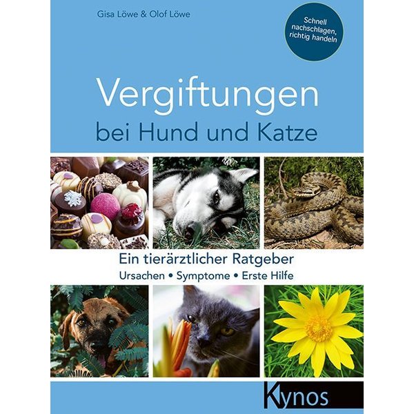 Vergiftungen Bei Hund Und Katze-image