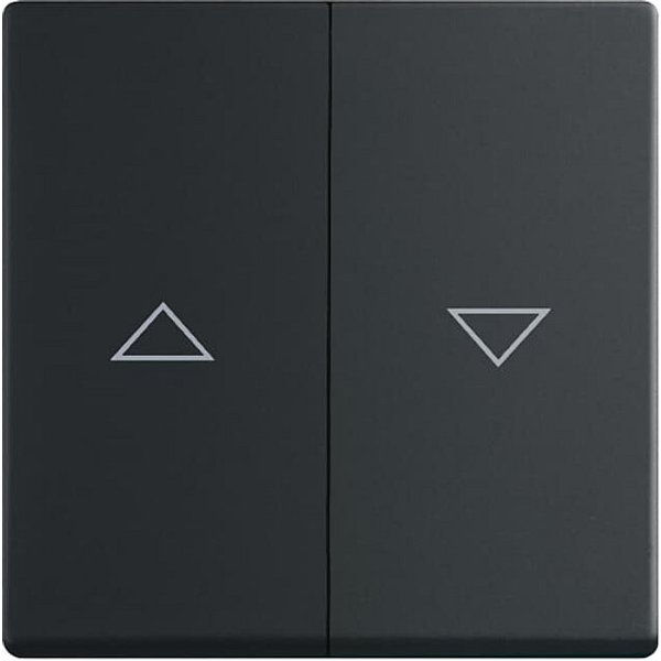 Busch-Jaeger 1751-0-3036 light switch