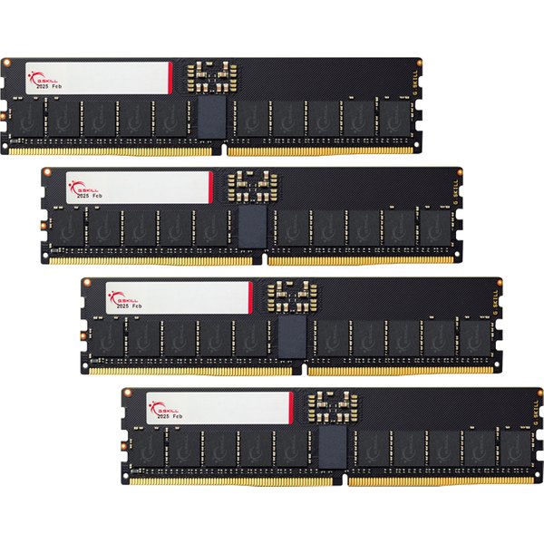 G.Skill T5 Neo F5-6400R3644E64GQ4-T5N memory module 256 GB 4 x 64 GB D