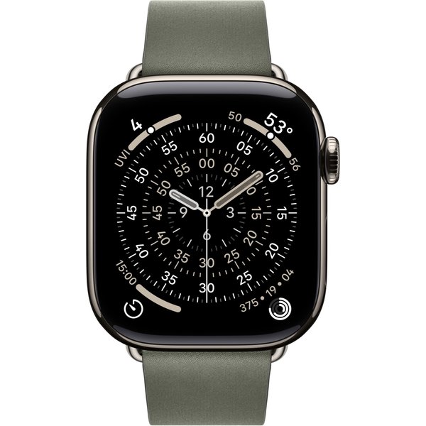Apple 42mm Sage Grey Modern Buckle - Large