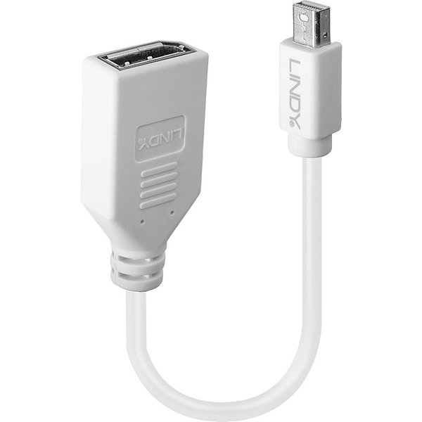 Lindy 0.20m Mini DisplayPort to DisplayPort Adapter Cable