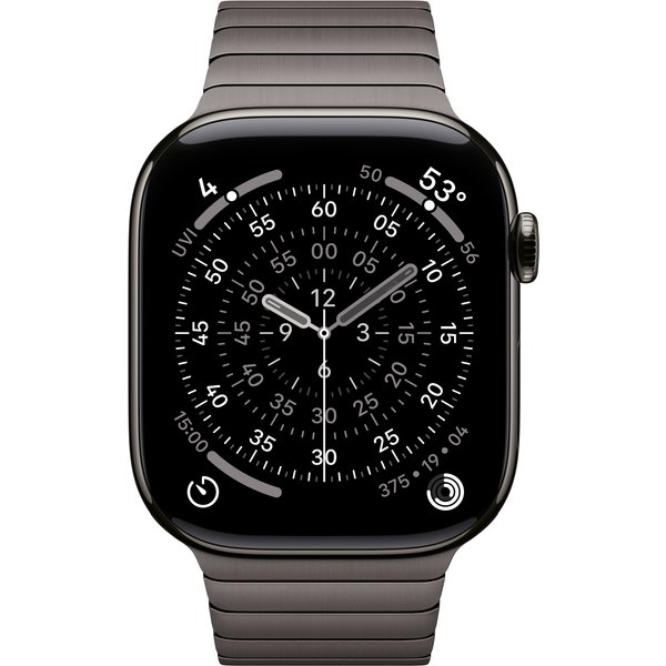 Apple 46mm Slate Link Bracelet