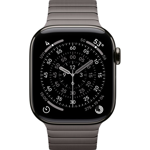 Apple 42mm Slate Link Bracelet