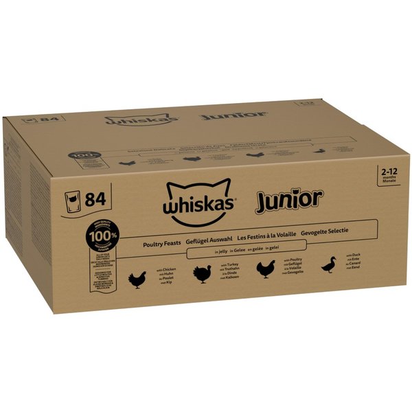 Whiskas Junior saquetas 84 x 85 g - Jumbopack - Seleção de aves em geleia